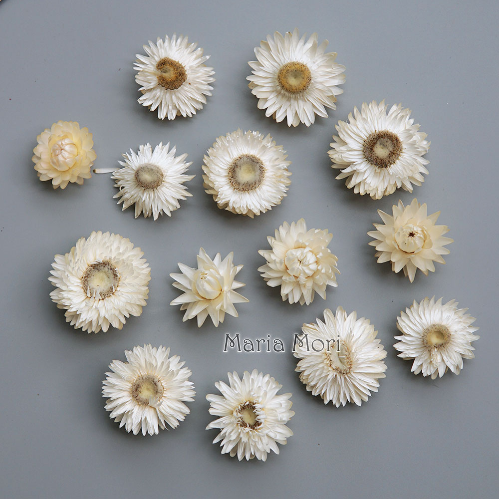 Candle Making Diy - เครื่องประดับผมแฮนด์เมดทำจากพวงหรีดดอกเบญจมาศสีสันสดใสทำจากวัสดุทำมือสำหรับผลิตภัณฑ์เรซินเทียนอโรมา