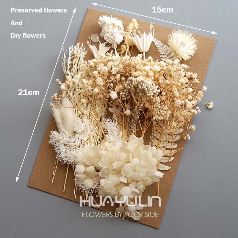 1 แพ็คพืชประดิษฐ์แห้งดอกไม้จริ - Candle Making Diy บทวิจารณ์และราคา